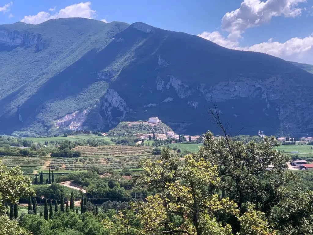 Cavallina Retreat — the countryside and farm