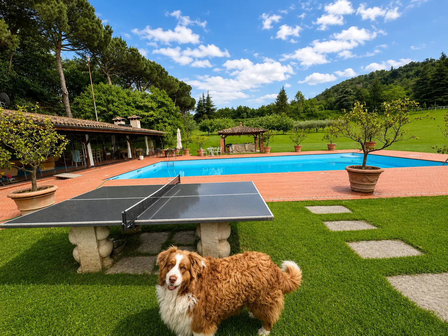 Ping-Pong