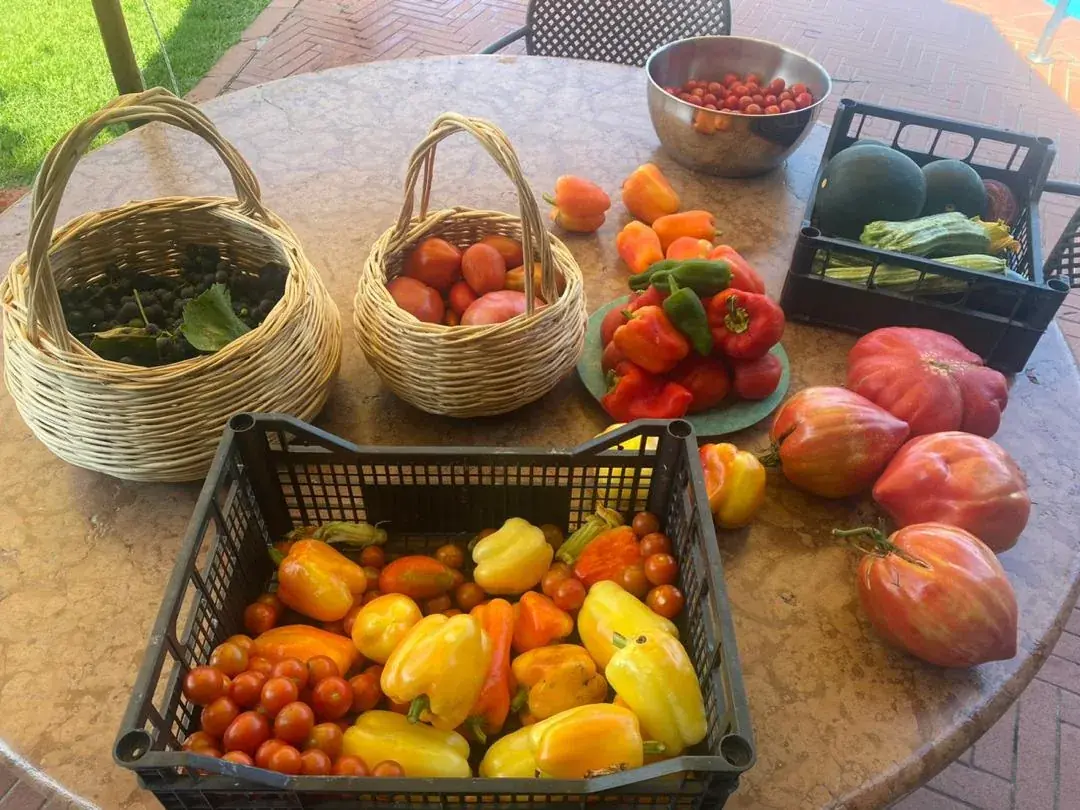 Cavallina Retreat — the estate and grounds