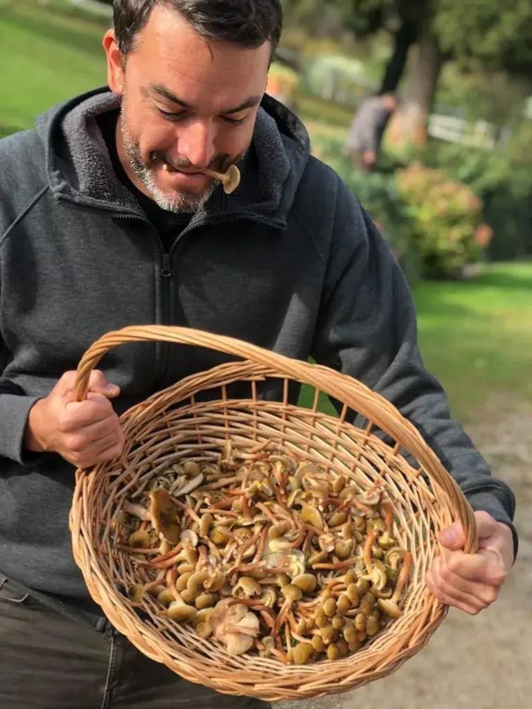 Cavallina Retreat — the estate and grounds
