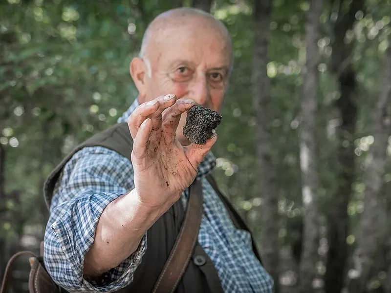 Monte Baldo Black Truffle Festival, Caprino