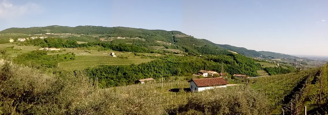 Amarone Opera Prima, Verona