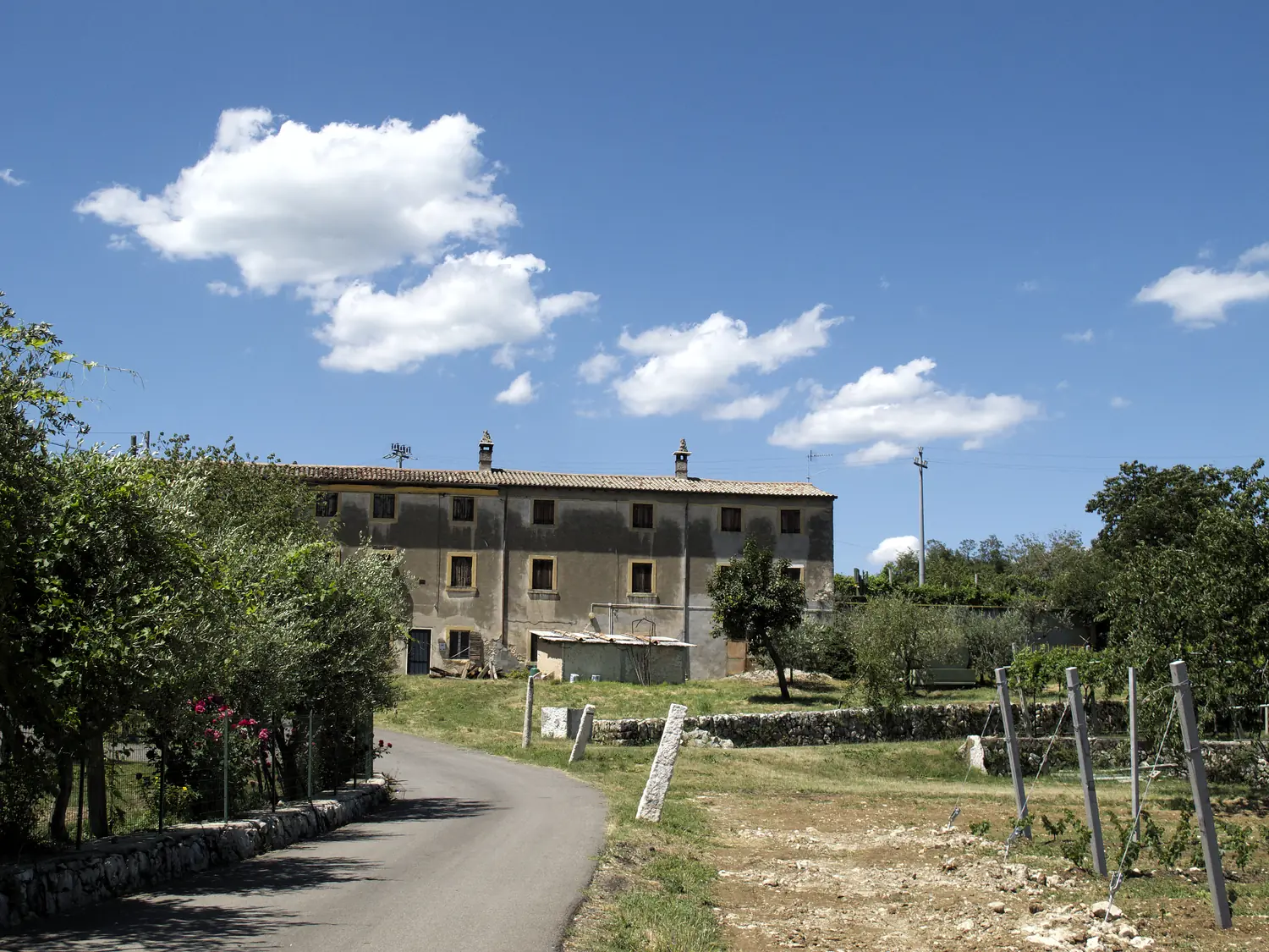 Cantine Aperte on the wine roads