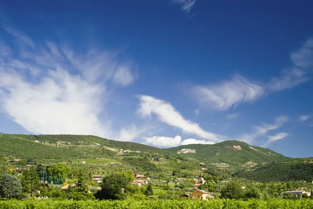 Open Cellars in Valpolicella