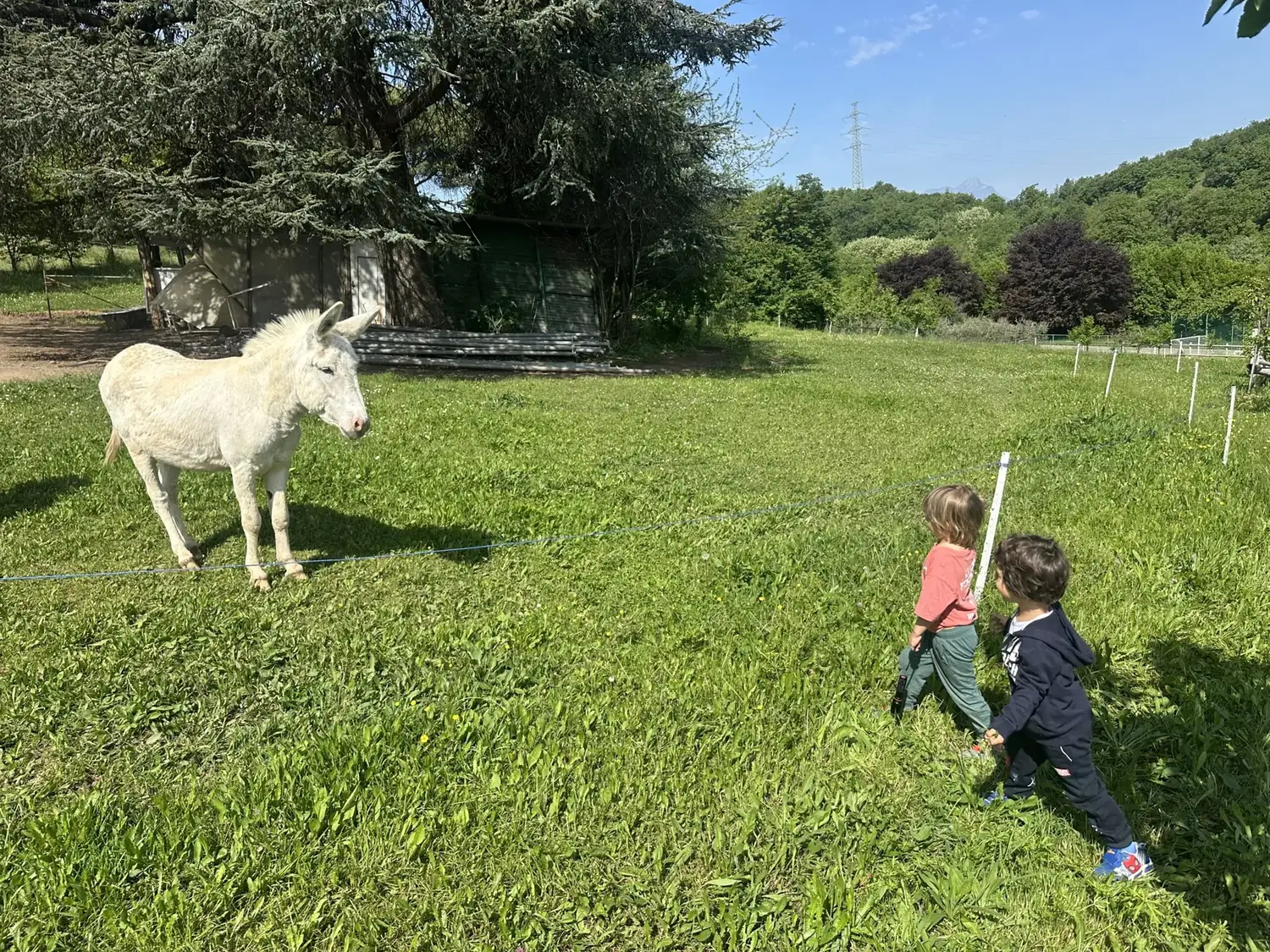 Cavallina Retreat — farm life