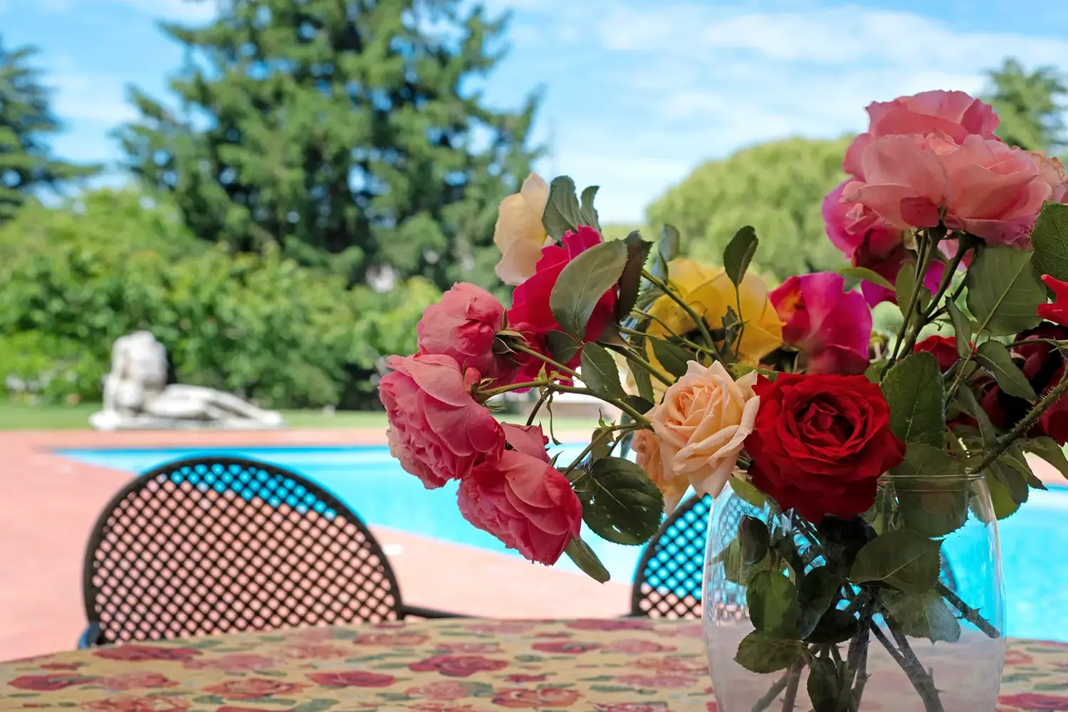 Flowers beside the swimming pool at Cavallina Retreat, Lake Garda