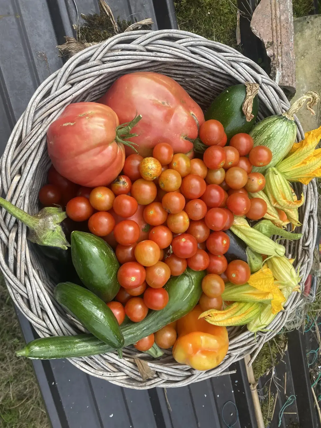 Cavallina Retreat — the countryside and farm