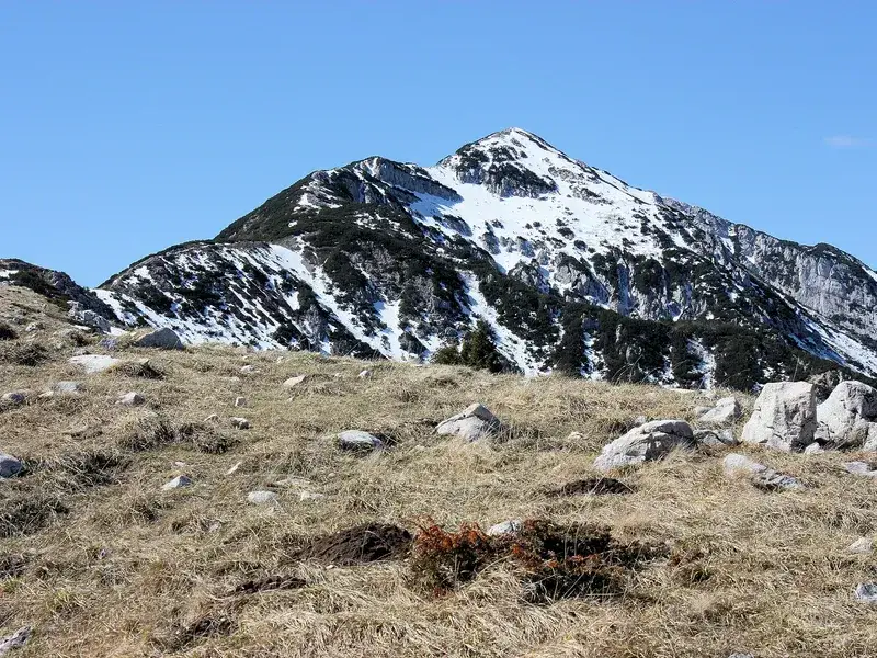 Moderate hike: Monte Baldo — Cima Pozzette