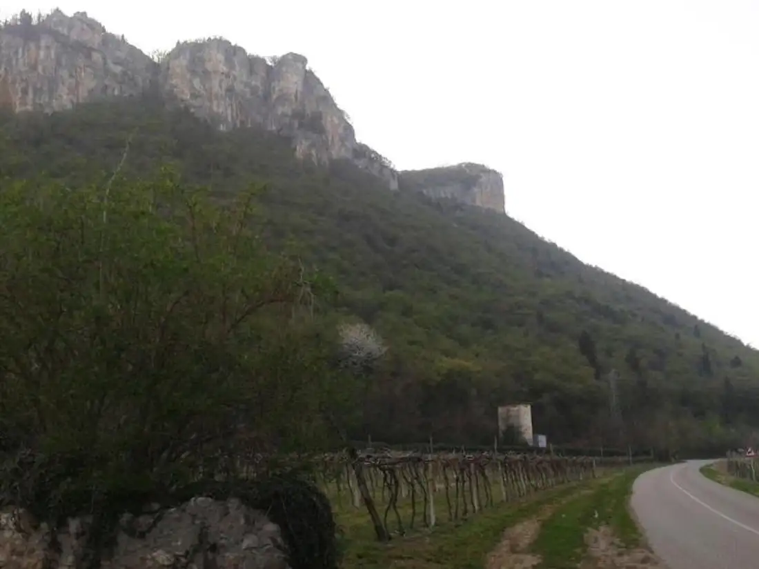 Easy hike: Monte Moscal (Affi)
