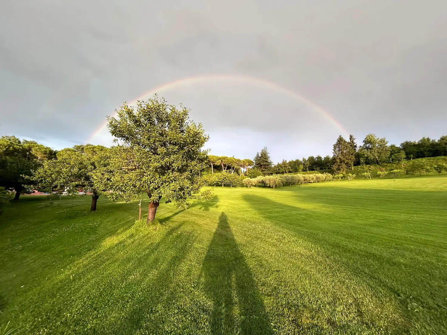 The farm at Cavallina Retreat